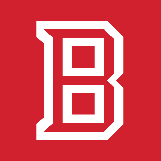 Bradley Braves 2012-Pres Secondary Logo v4 iron on transfers for fabric